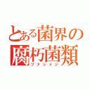 とある菌界の腐朽菌類（ブナシメジ）