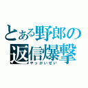 とある野郎の返信爆撃（やっかいぜい）