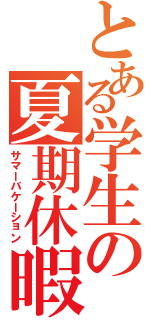 とある学生の夏期休暇（サマーバケーション）