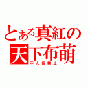 とある真紅の天下布萌（不人氣禁止）