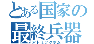 とある国家の最終兵器（アトミックボム）