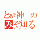 とある神のみぞ知る（セカイ）