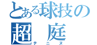 とある球技の超 庭 球（テニヌ）