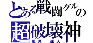 とある戦闘グルの超破壊神（風見 颯人）