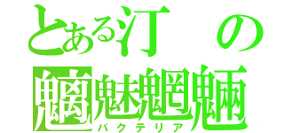 とある汀の魑魅魍魎（バクテリア）