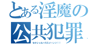 とある淫魔の公共犯罪（セクシャルハラスメーンツ！！）