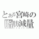 とある宮崎の脂肪減量（ダイエット）