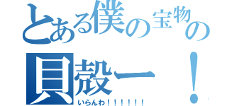 とある僕の宝物の貝殻ー！（いらんわ！！！！！！）