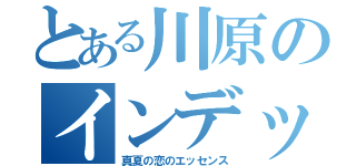 とある川原のインデックス（真夏の恋のエッセンス）