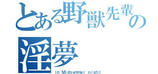 とある野獣先輩の淫夢（ｉｎ Ｍｉｄｓｕｍｍｅｒ ｎｉｇｈｔ）