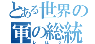 とある世界の軍の総統（しほう）