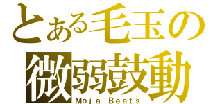 とある毛玉の微弱鼓動（Ｍｏｊａ Ｂｅａｔｓ）