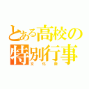 とある高校の特別行事（文化祭）