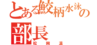 とある鮫柄水泳部の部長（松岡凛）