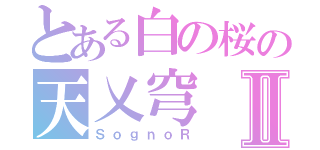 とある白の桜の天乂穹Ⅱ（ＳｏｇｎｏＲ）