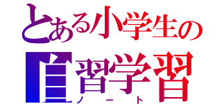 とある小学生の自習学習（ノート）