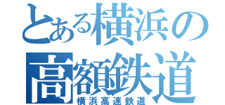 とある横浜の高額鉄道（横浜高速鉄道）