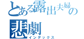 とある露出夫婦の悲劇（インデックス）