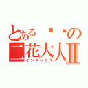 とある进击の二花大人Ⅱ（インデックス）