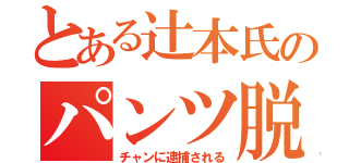 とある辻本氏のパンツ脱ぎ（チャンに逮捕される）