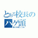 とある校長のハゲ頭（残り本数１３本）