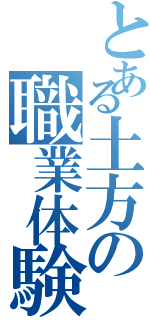 とある土方の職業体験（）