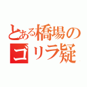 とある橋場のゴリラ疑惑（）