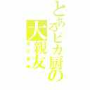 とあるピカ厨の大親友（宮川真綺）