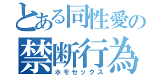 とある同性愛の禁断行為（ホモセックス）