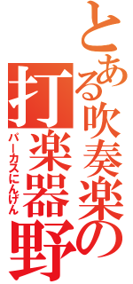 とある吹奏楽の打楽器野郎（パーカスにんげん）