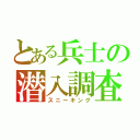 とある兵士の潜入調査（スニーキング）