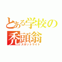 とある学校の禿頭翁（スポットライト）