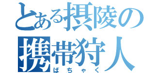 とある摂陵の携帯狩人（ばちゃく）