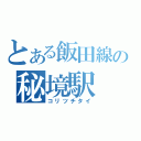 とある飯田線の秘境駅（コリツチタイ）