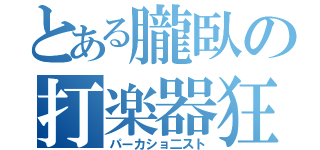 とある朧臥の打楽器狂（パーカショ二スト）