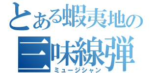 とある蝦夷地の三味線弾き（ミュージシャン）