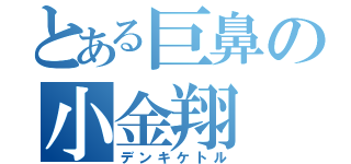 とある巨鼻の小金翔（デンキケトル）