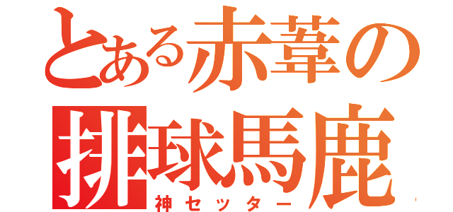 とある赤葦の排球馬鹿（神セッター）