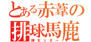 とある赤葦の排球馬鹿（神セッター）