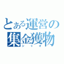 とある運営の集金獲物（シャオ）