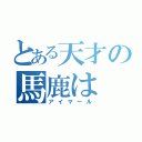 とある天才の馬鹿は（アイマール）