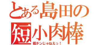 とある島田の短小肉棒（粗チンじゃねえっ！）