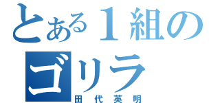 とある１組のゴリラ（田代英明）