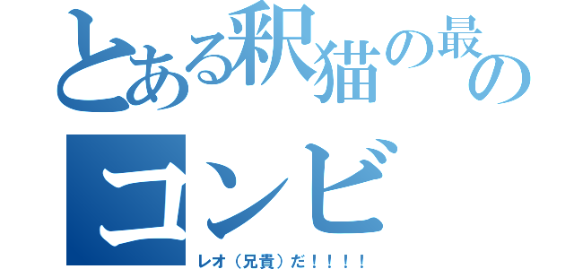 とある釈猫の最強のコンビ（レオ（兄貴）だ！！！！）