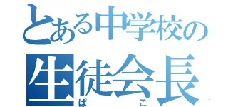 とある中学校の生徒会長（ぱこ）