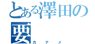 とある澤田の要（カナメ）