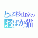 とある杉山家のおばか猫（ゆず）