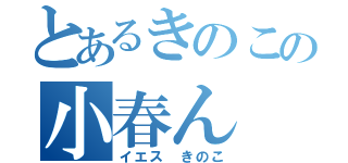 とあるきのこの小春ん（イエス きのこ）