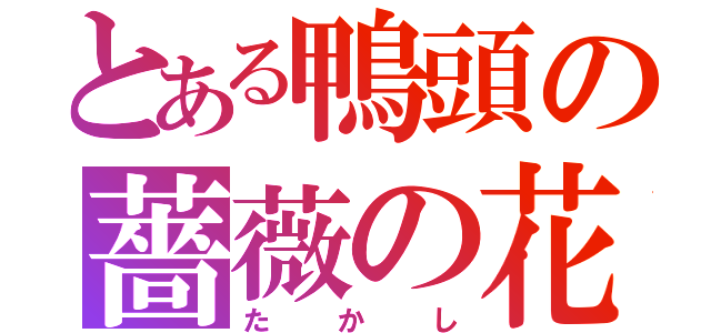 とある鴨頭の薔薇の花（たかし）