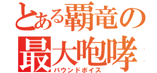 とある覇竜の最大咆哮（バウンドボイス）